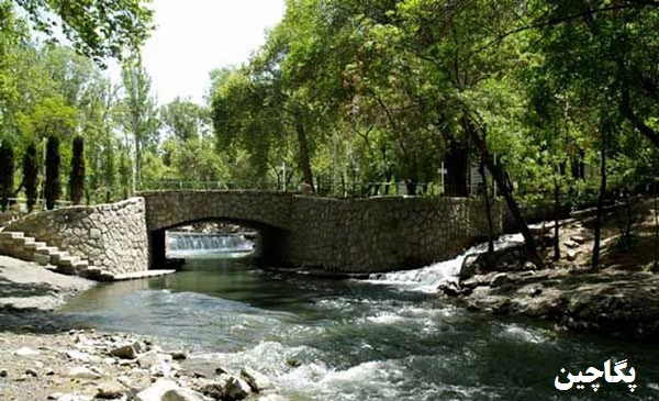 پارک جنگلی وکیل آباد